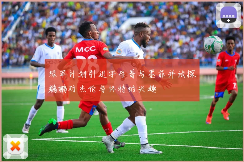 绿军计划引进字母哥与墨菲并试探鹈鹕对杰伦与怀特的兴趣